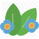 Spurge Food Flower Icon