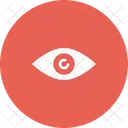 Spy Eye Secret Icon