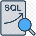 데이터 SQL 검색 아이콘