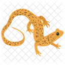Squamata Reptile Geckos Icon
