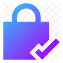 Square Lock Check Lock Check Check Lock Icon