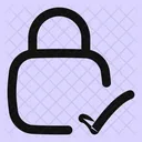 Square Lock Check Lock Check Check Lock Icon