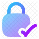 Square Lock Check Lock Check Check Lock Icon