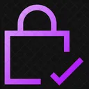 Square Lock Check Lock Check Check Lock Icon