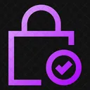 Square Lock Check Lock Check Check Lock Icon