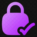 Square Lock Check Lock Check Check Lock Icon