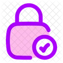 Square Lock Check Lock Check Check Lock Icon