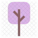 Square Tree  Icon