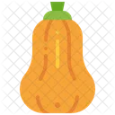 Squash Vegetable Pumpkin Icon