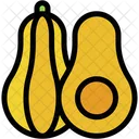 Squash Fruit Organic Icon