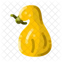 Squash Pumpkin Gourd Icon