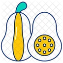 Squash Food Healthy Icon