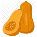 Squash  Icon