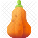 Squash Food Healthy Icon