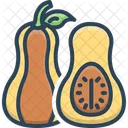Squash Butternut Vegetable Icon