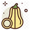 Squash Food Healthy Icon