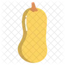 Squash  Icon