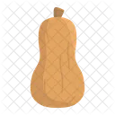 Squash Fruit Vegetable Icon