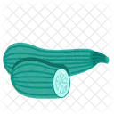 Squash  Icon