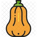 Squash Vegetable Pumpkin Icon
