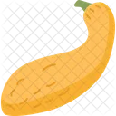 Squash Vegetable Fresh Icon