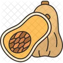 Squash Vegetable Butternut Icon