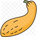 Squash Vegetable Fresh Icon