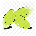Squash Seeds Pepitas Pumpkin Seeds Icon