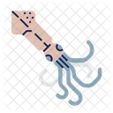 Squid Animal Seafood アイコン
