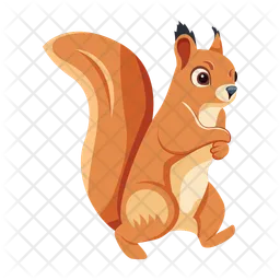 Squirrel  Icon