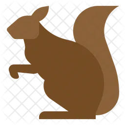Squirrel  Icon