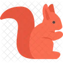 Squirrel Animal Icon