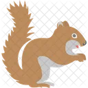 Squirrel Animal Forest Icon