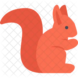 Squirrel  Icon