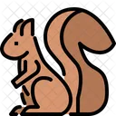 Squirrel  Icon