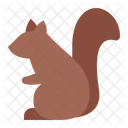 Squirrel  Icon