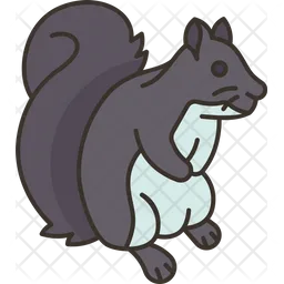 Squirrel  Icon