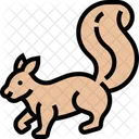 Squirrel Rodent Animal Icon
