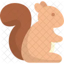 Squirrel Rodent Mammal Icon