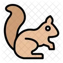 Squirrel  Icon