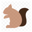 Squirrel  Icon