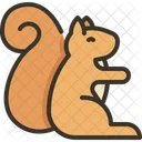 Squirrel Animals Zoo Icon