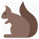 Squirrel Animal Chipmunk Icon