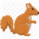 Squirrel  Icon