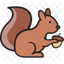 Squirrel Animal Rodent Icon