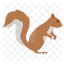 Squirrel  Icon