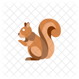 Squirrel  Icon