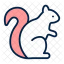 Squirrel Creature Sciuridae Icon