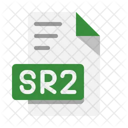 Sr 2 File  Icon