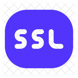 Ssl  Icon